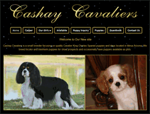 Tablet Screenshot of cashaycavaliers.com